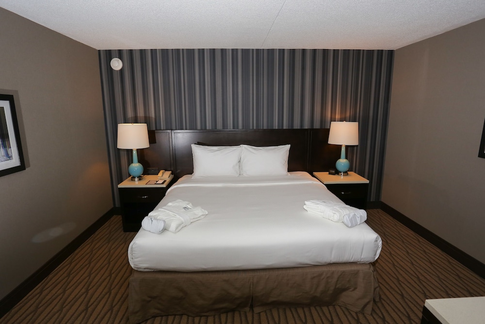 Suite, 1 King Bed, Non Smoking (1 Bedroom) photo 1