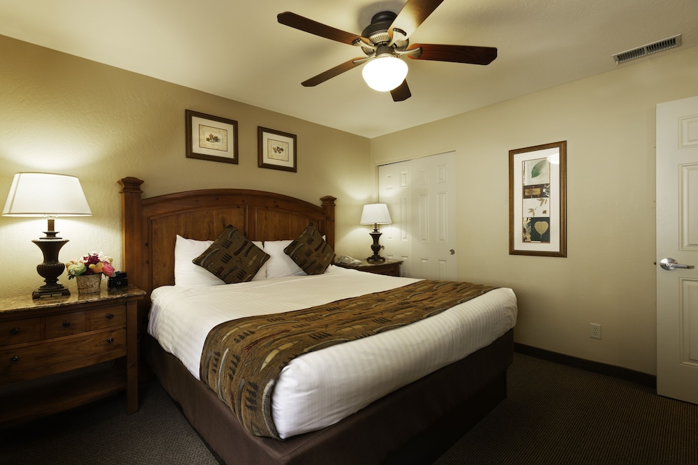 Suite, 1 Bedroom photo 3