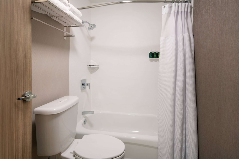 Room, 1 King Bed with Sofa bed, Accessible (Mobility Roll in Shower)