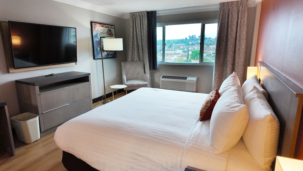 Deluxe Single Room, Non Smoking - Photo 6