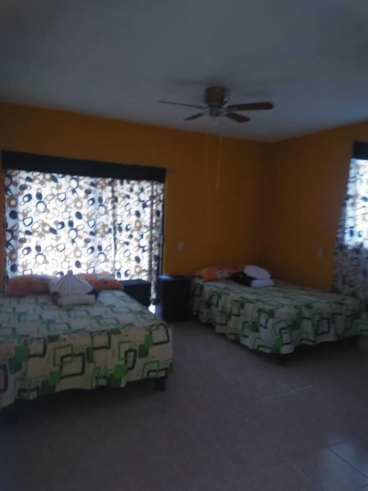 Family Double Room, 1 Bedroom photo 3