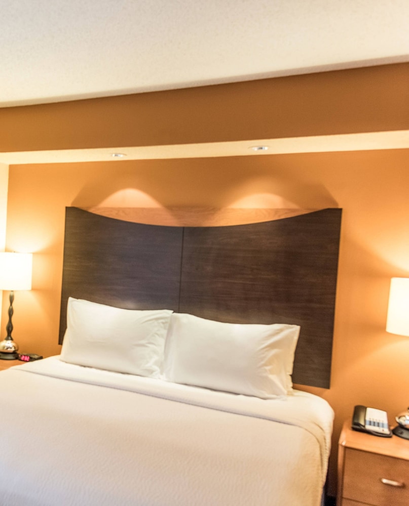 Suite, 1 Bedroom