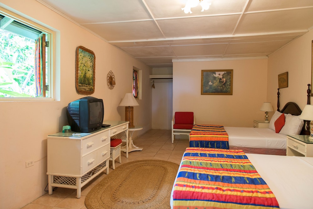 Comfort Double or Twin Room, 2 Twin Beds photo 1