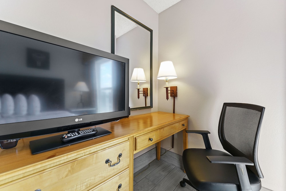 Premium Apartment photo 3