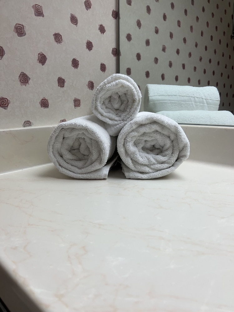 Orlando Palms Hotel, 사진 6