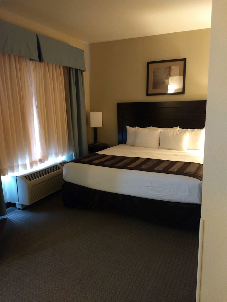 Studio Suite, 1 King Bed, Non Smoking, Bathtub (Mobility/Hearing) - Photo 3