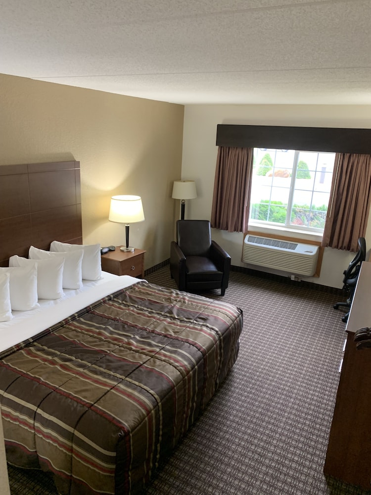 Junior Room, 1 King Bed, Refrigerator & Microwave photo 3
