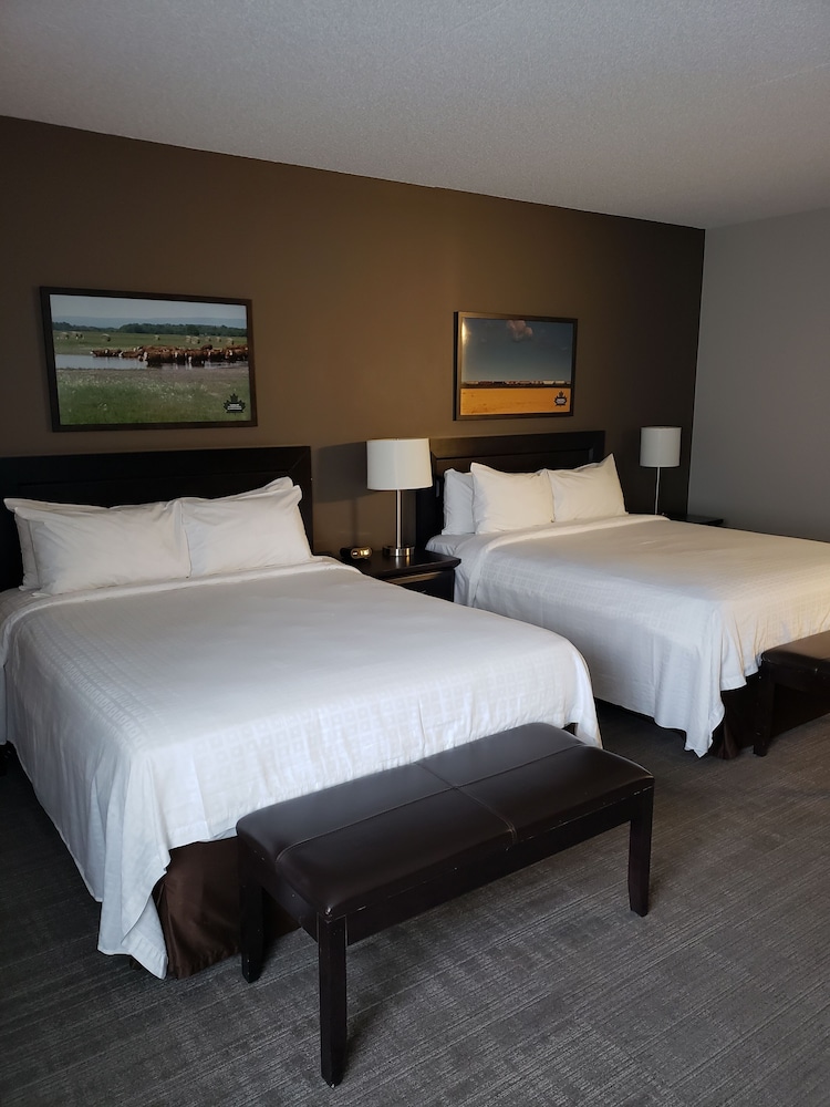Deluxe Room, 2 Queen Beds photo 1