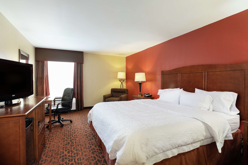 Room, 1 King Bed photo 1