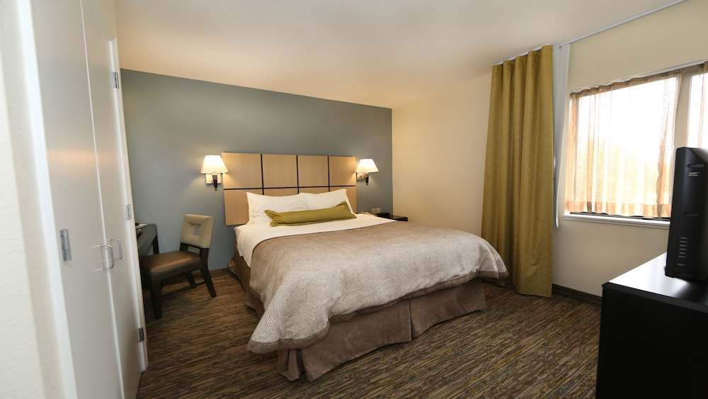 Suite, 1 Bedroom - Photo 1