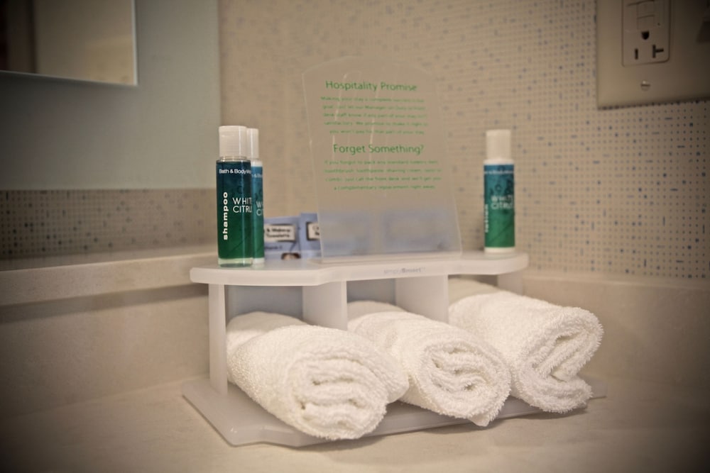 Suite, 1 King Bed, Accessible (Communication, Mobil Transfer Shower)