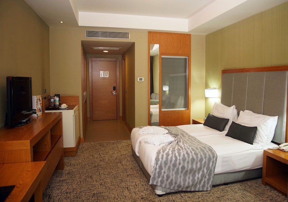 Standard Double Room, City View photo 1