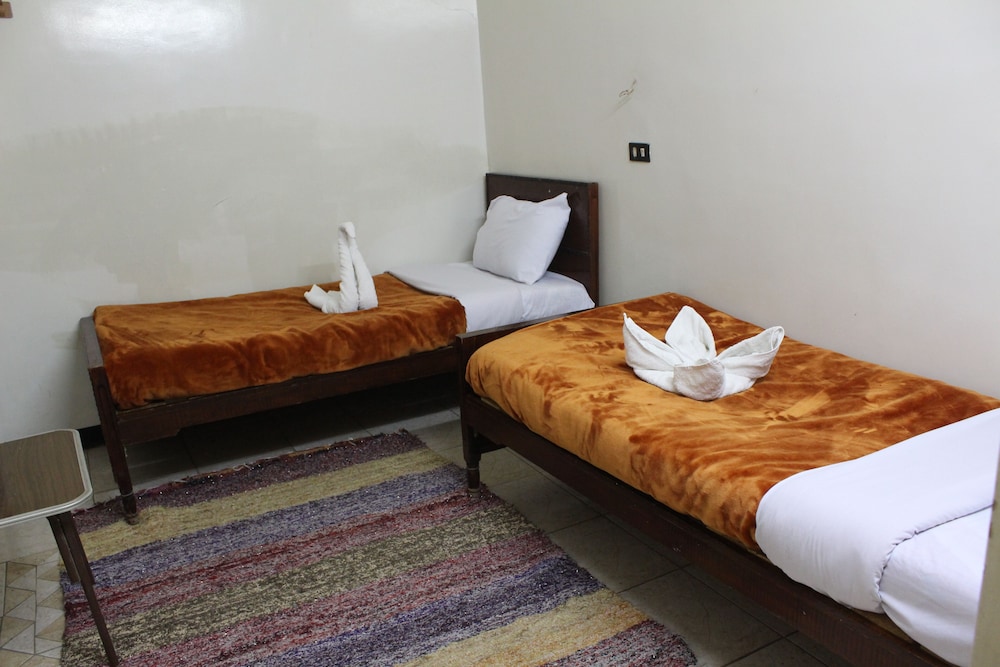 Standard Shared Dormitory photo 1