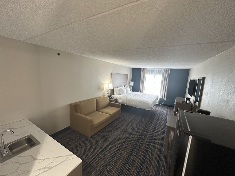 Room, 1 King Bed, Non Smoking photo 3