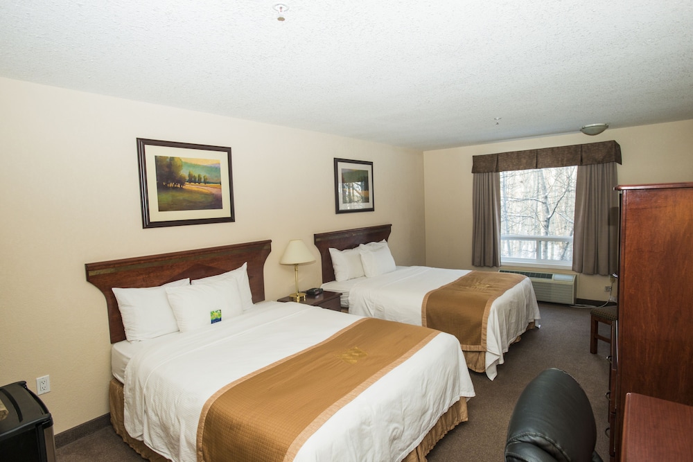 Deluxe Double Room Single Use, 2 Queen Beds, Kitchenette photo 3