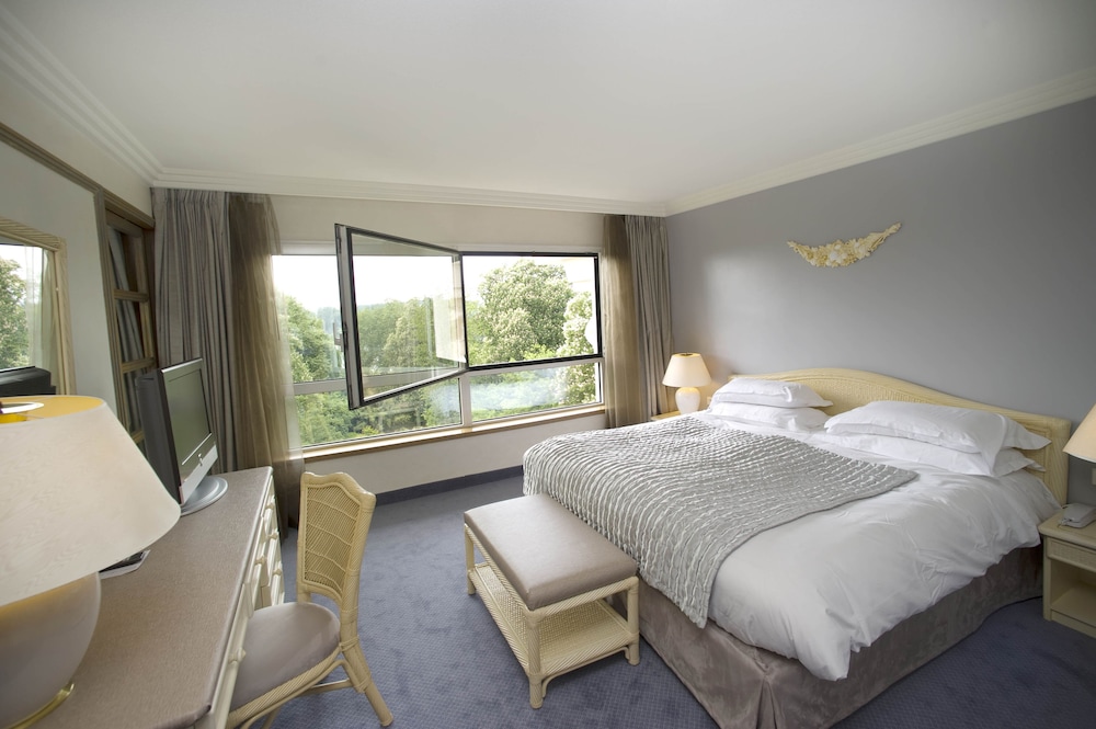 Deluxe Suite - Photo 1