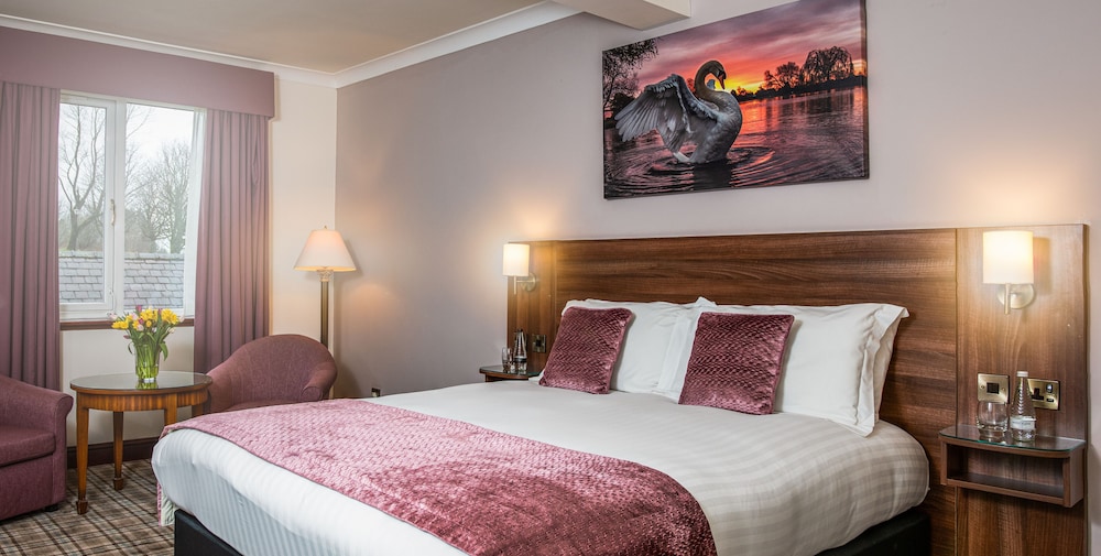 Executive Double or Twin Room - Photo 2