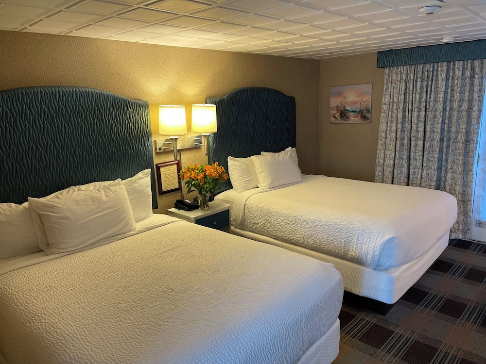 Premium Room, 2 Queen Beds