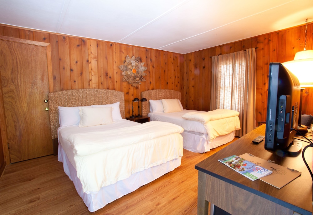 Standard Room, 2 Double Beds photo 1