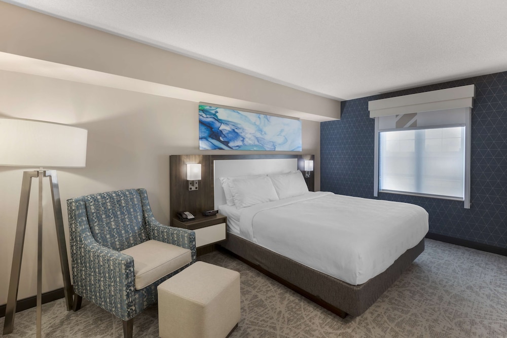 Suite, 1 King Bed, Non Smoking, Kitchen (Shower Only; Sofabed; Full Kitchen) - Photo 3