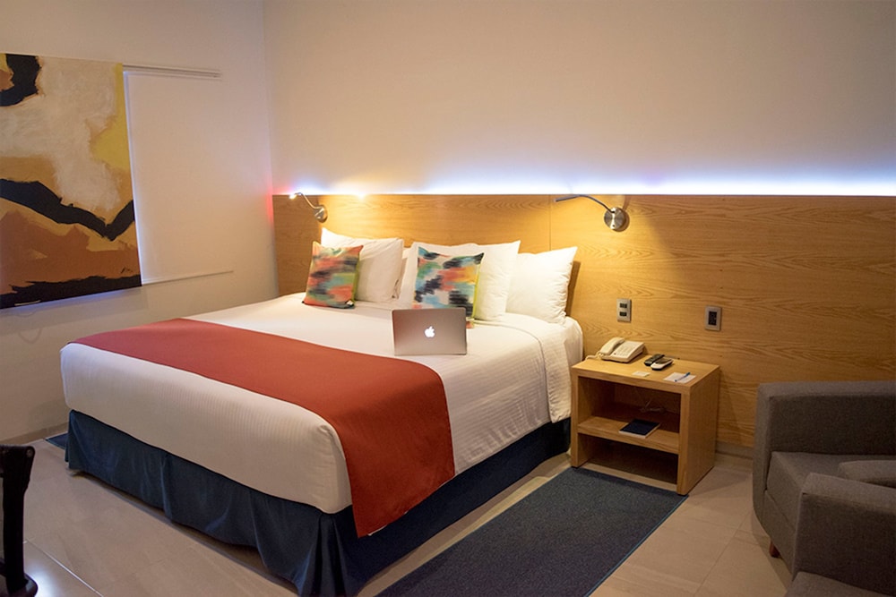 Suite, 1 King Bed photo 3