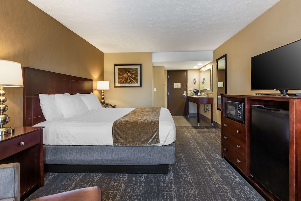 Suite, 1 King Bed, Non Smoking, Microwave (with Sofabed) - Photo 4