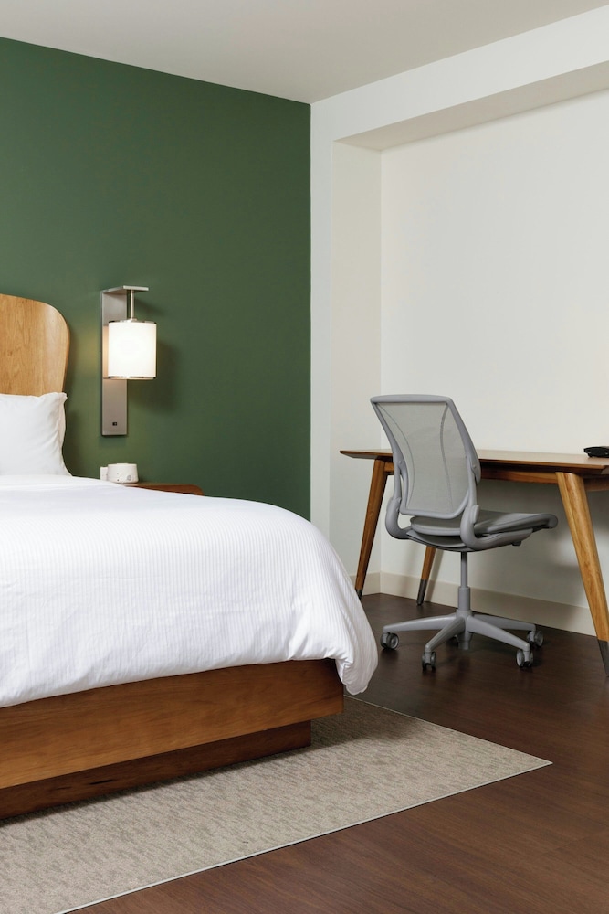 Studio, 1 King Bed (Mobility Accessible, Roll-in Shower) - Photo 3