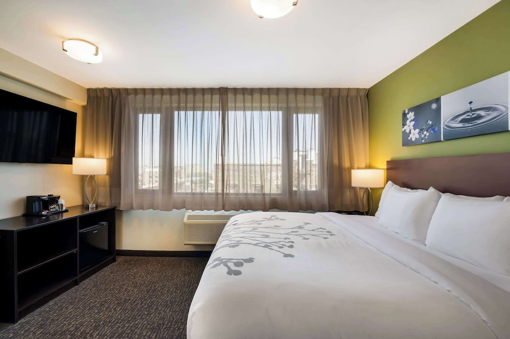 Standard Room, 1 King Bed, Non Smoking photo 3