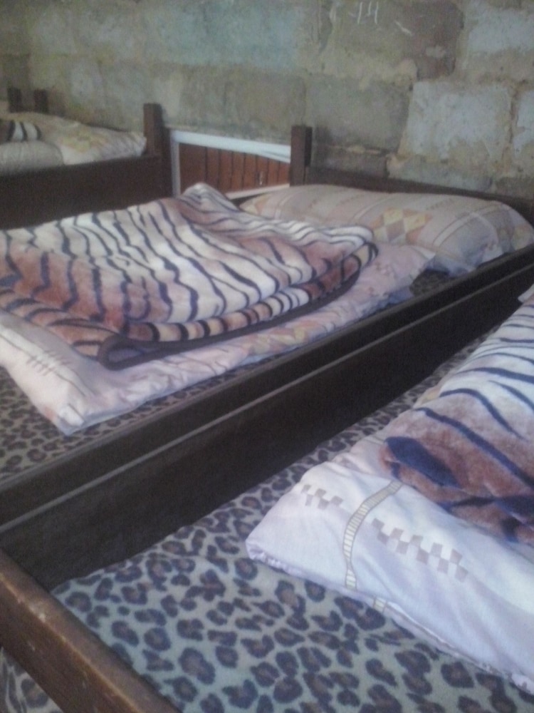 Shared Dormitory, 1 Twin Bed photo 2