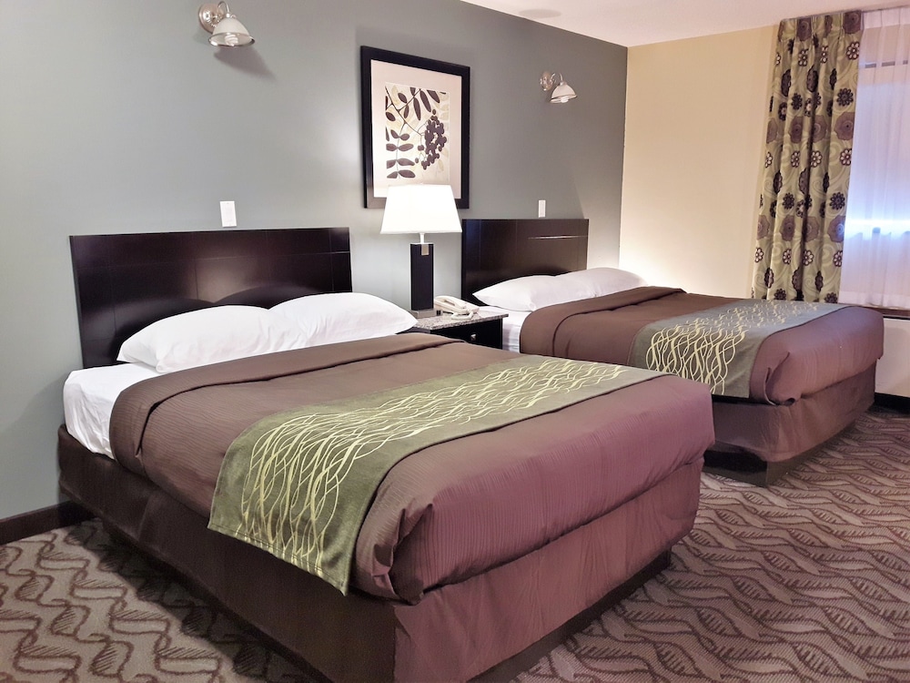 Standard Room, 2 Queen Beds