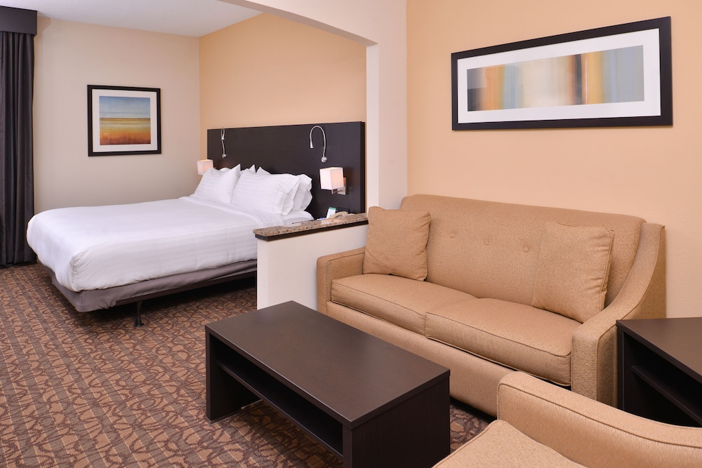 Suite, 1 King Bed - Photo 6