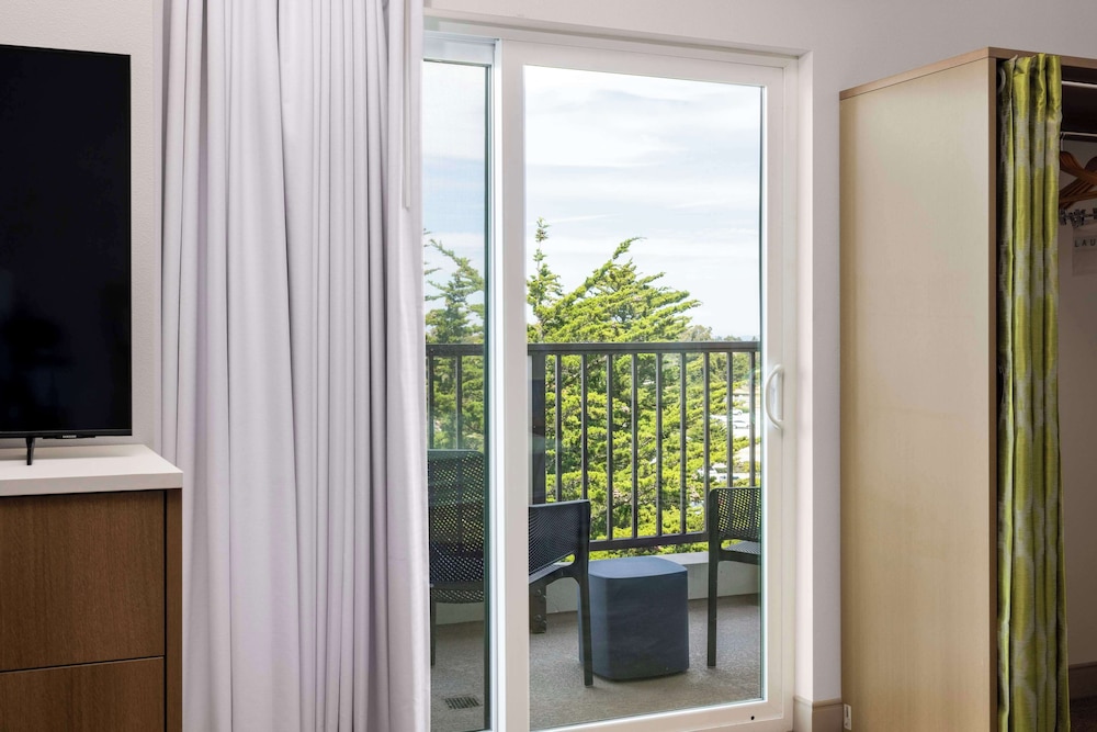 Suite, 1 Bedroom - Photo 2
