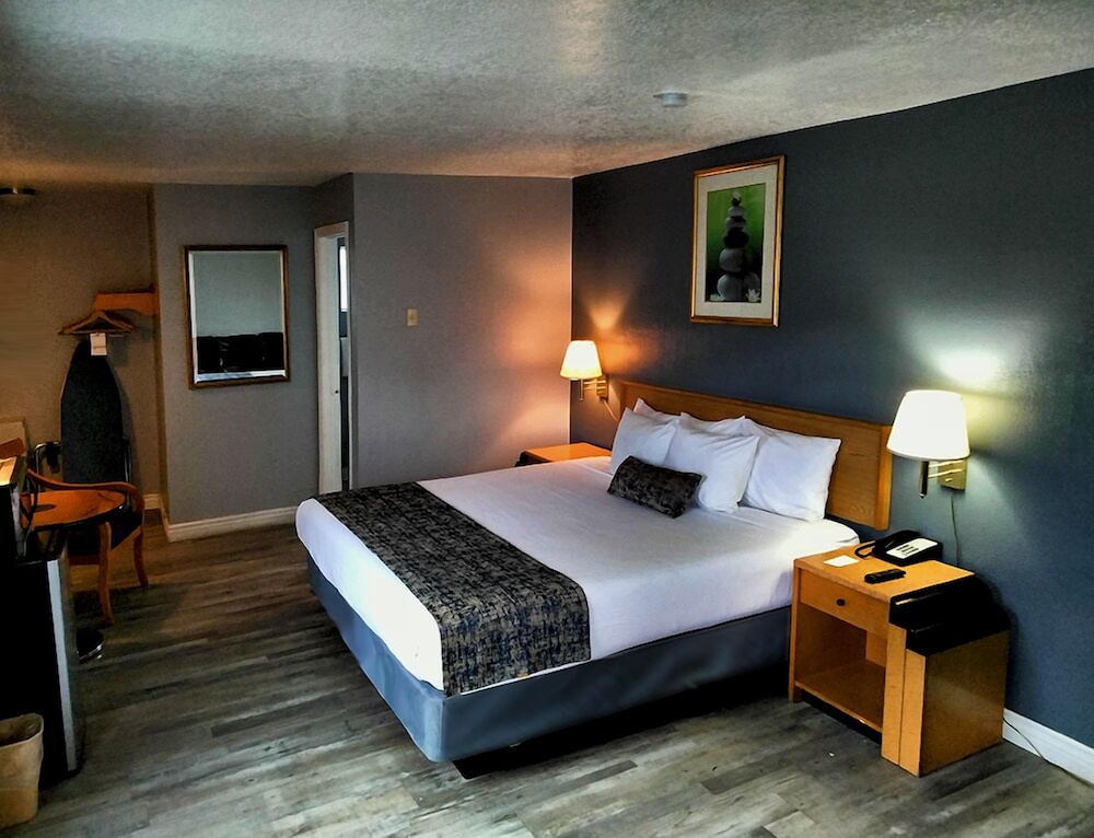 Room, 1 King Bed, Mobility Accessible photo 2
