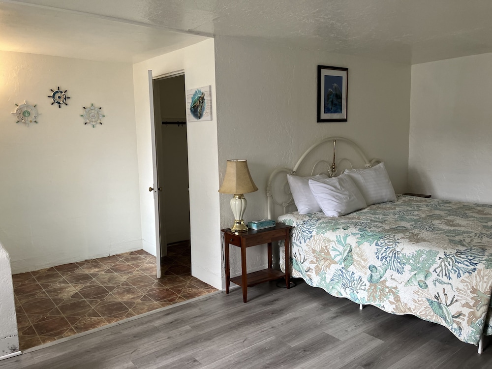 Design Single Room, 1 King Bed photo 2