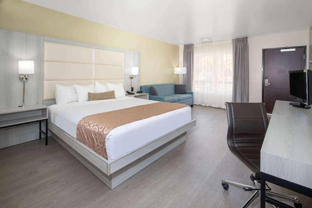 1 King Bed with Sofa bed, Non Smoking photo 1