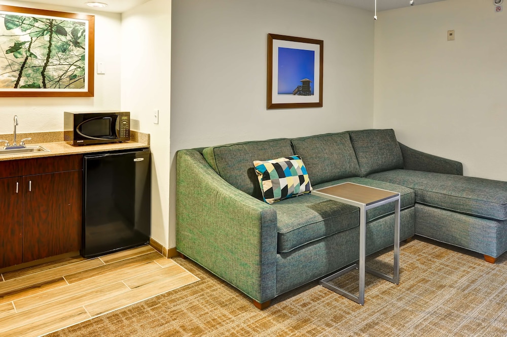 Suite, 1 King Bed with Sofa bed, Non Smoking - Photo 1