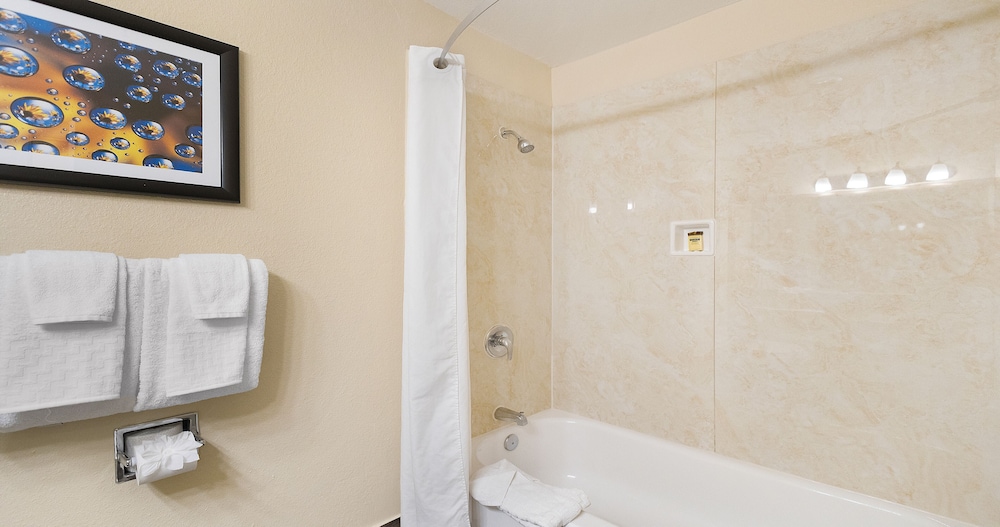 Standard Room, 1 King Bed, Non Smoking, Refrigerator- Pool View - Photo 7
