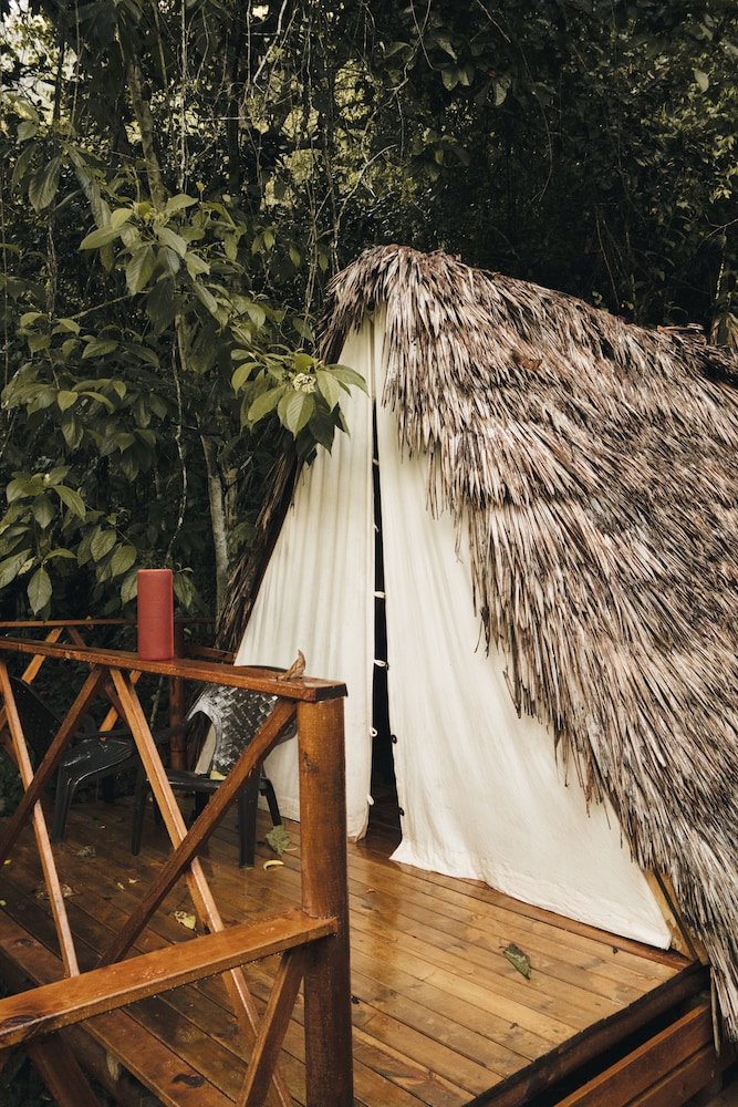 Family Bungalow photo 3