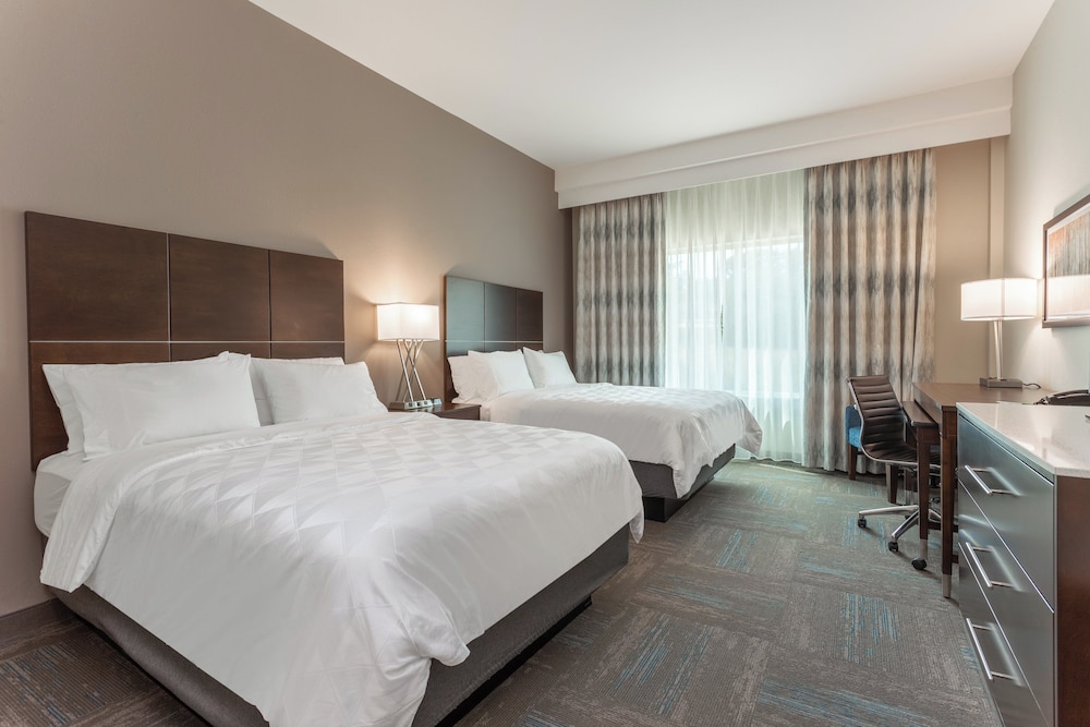 Suite, 1 Bedroom, Roll-in Shower (Mobility Accessible) photo 3