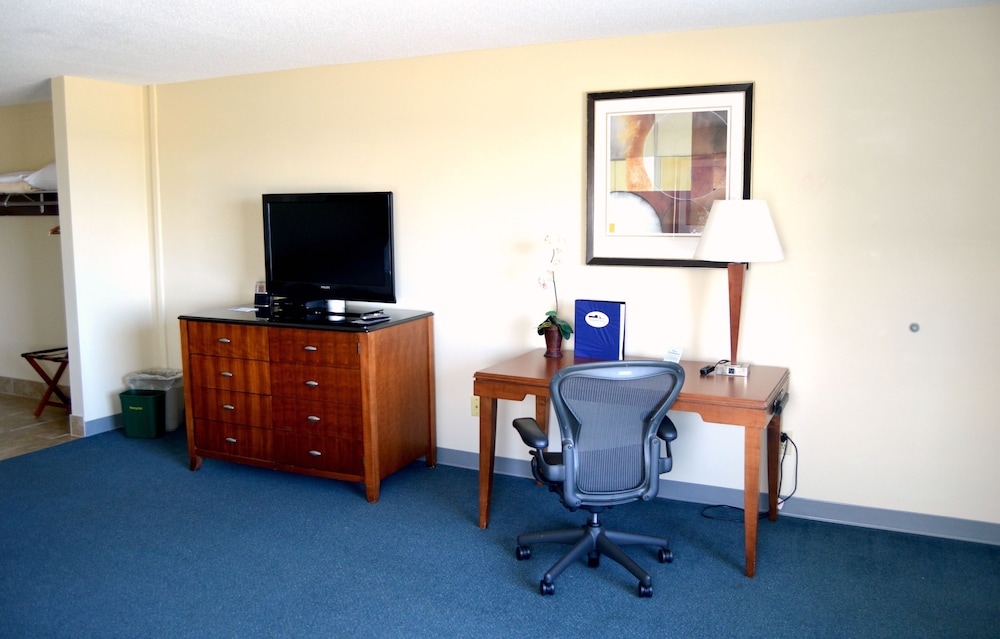 Single Room, 1 King Bed with Sofa bed, Ocean View photo 2