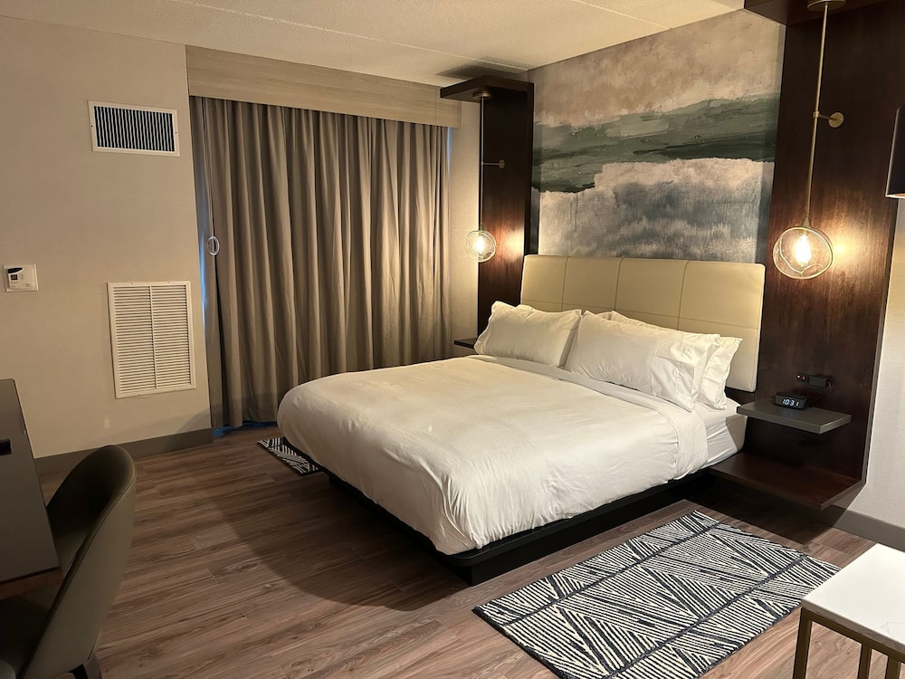 Room, 1 King Bed (Mobility Accessible, Roll-In Shower) - Photo 6