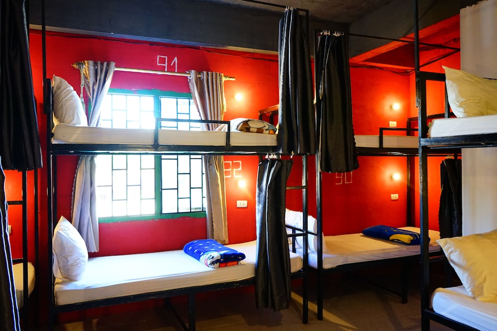 Standard Shared Dormitory photo 3