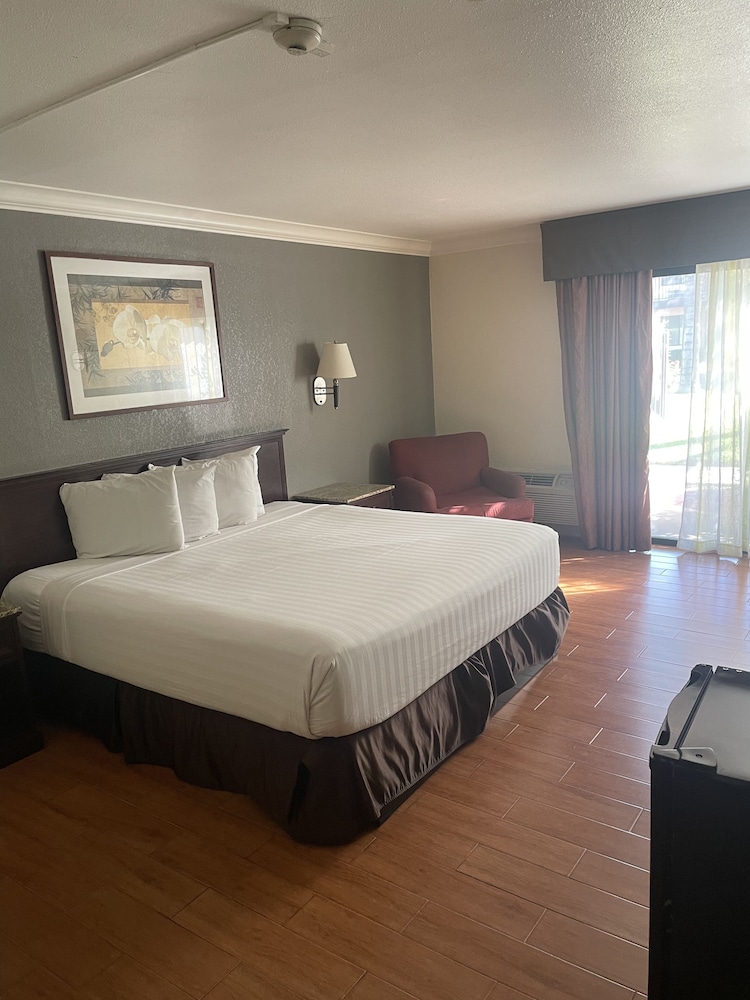 Deluxe Single Room, 1 Bedroom photo 2