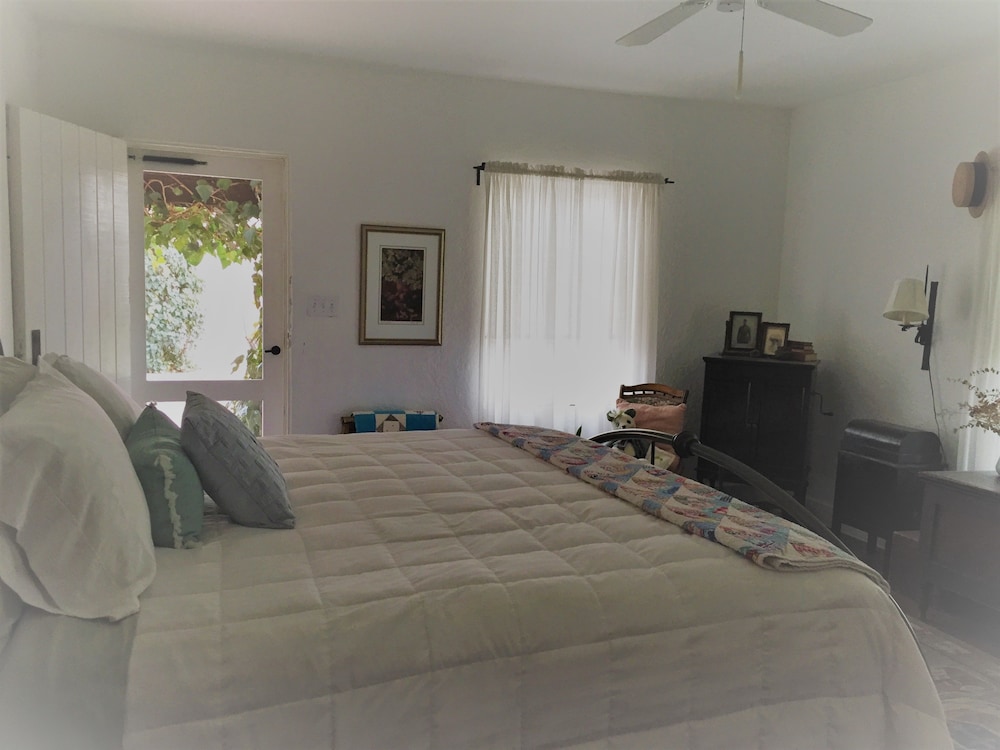 The White-winged Dove Suite