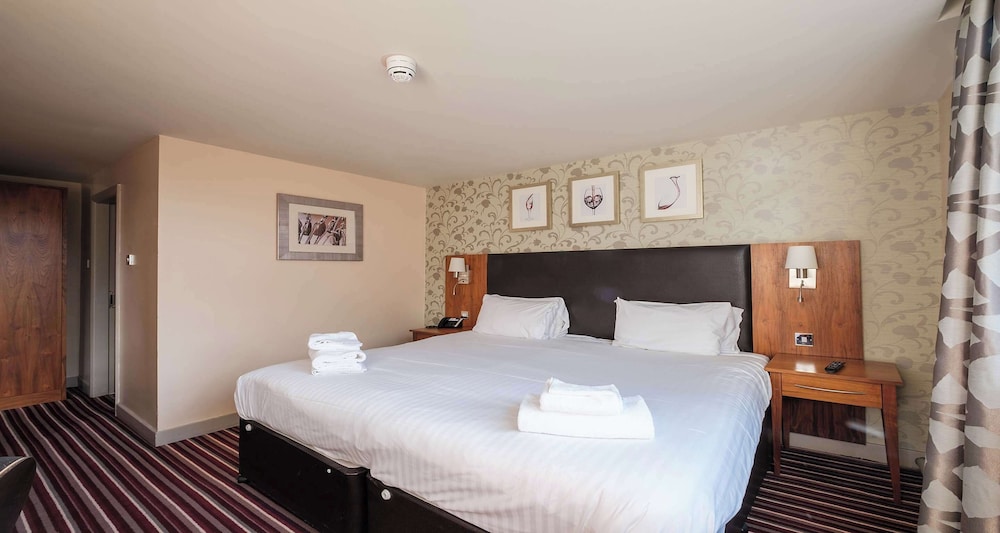 Executive Room, 1 Double Bed, Non Smoking - Photo 5