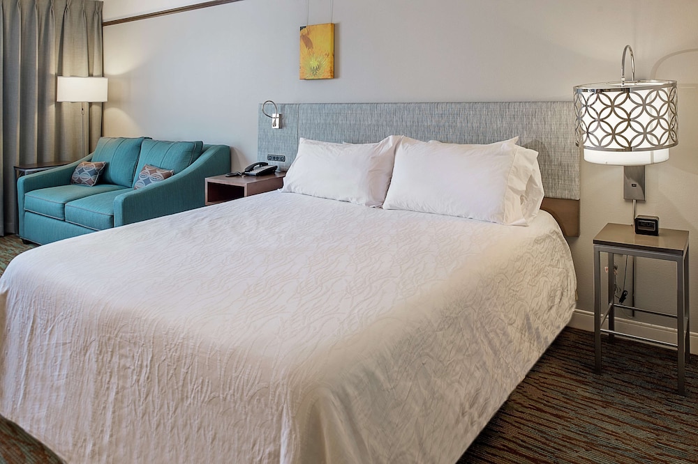 Room, 1 King bed, Accessible, Roll in Shower