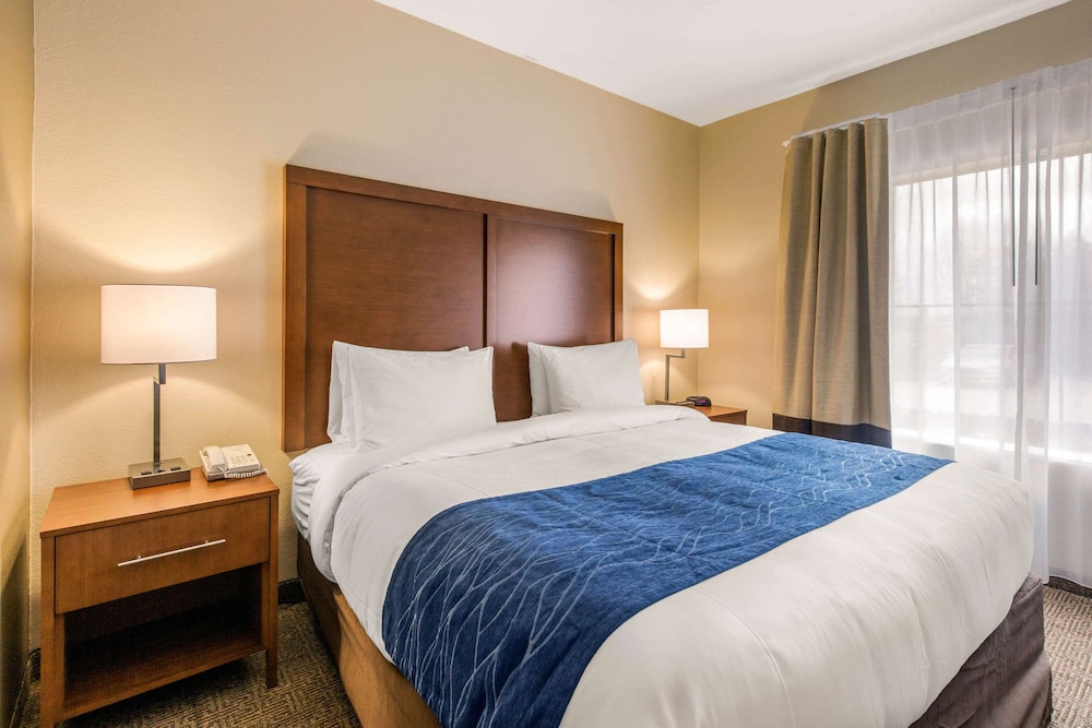 Suite, 1 King Bed with Sofa bed, Accessible, Non Smoking photo 1