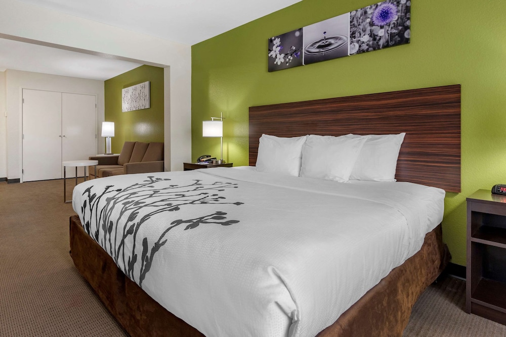 Suite, 1 King Bed with Sofa bed, Accessible, Non Smoking - Photo 1