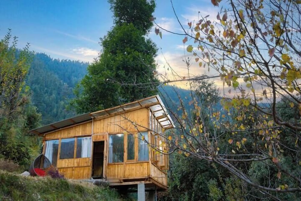 Tree House photo 1