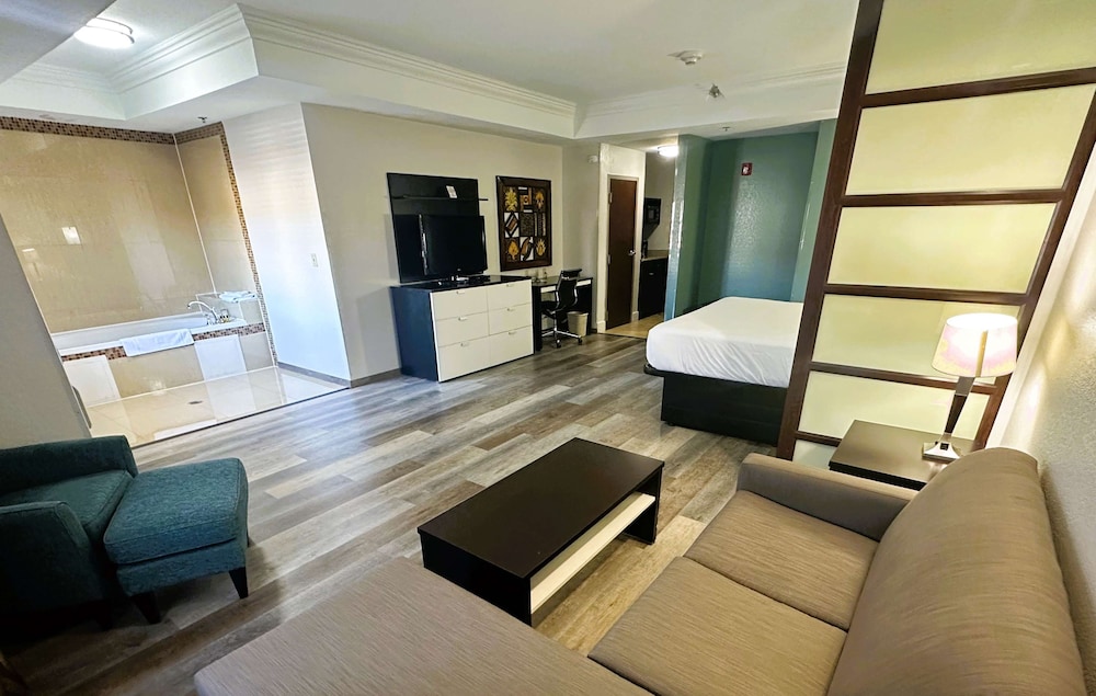 Suite, 1 King Bed, Non Smoking, Jetted Tub (with Sofabed) - Photo 2